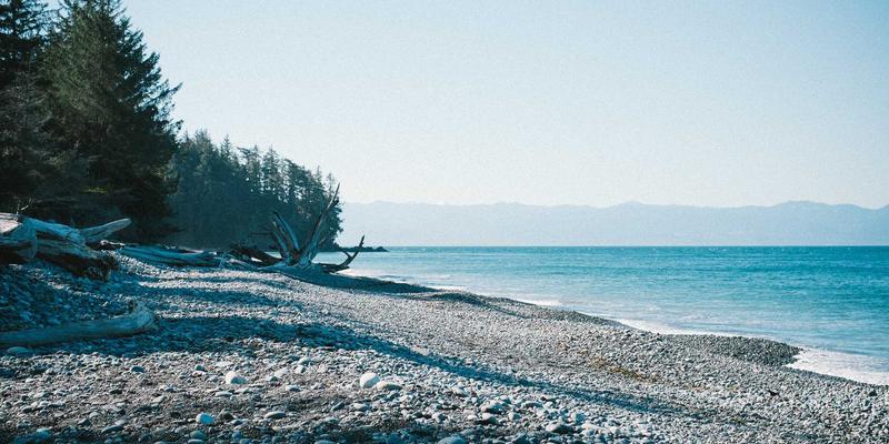 从混沌到秩序：构建自愈网络的网络弹性工程实战指南