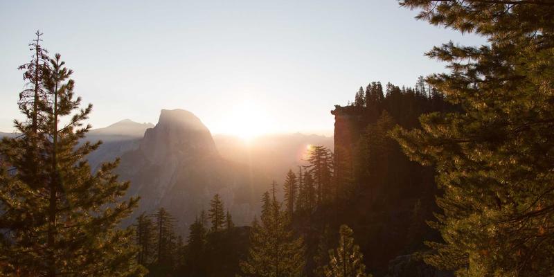 网络可编程性基石:gNMI与gRPC如何重塑设备配置与遥测实战