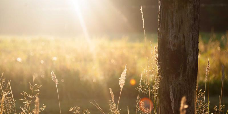 网络时间安全(NTS)协议详解:为5G和关键基础设施筑起时间同步的“防火墙”